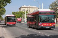 Autobuses gratis para volver de La Cartuja tras el Betis
