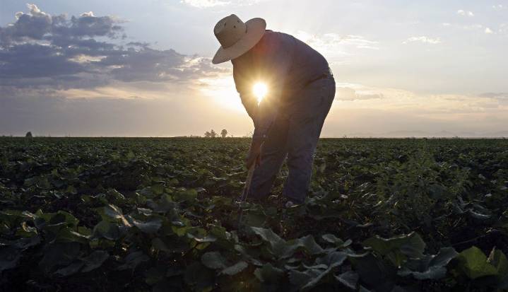 Las cinco preguntas que conforman la consulta campesina radicada en la Registraduría
