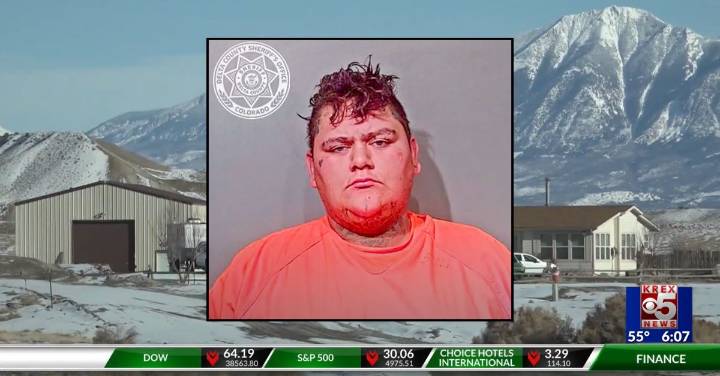 Man used excavator to bury murdered property owner 'in the dirt, next to that tree'