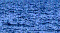 NH’s Lake Winnipesaukee swimmer death: Body found in Wells search