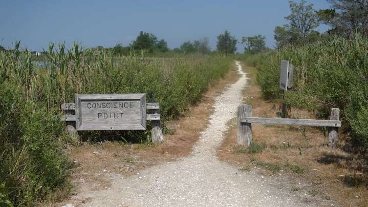 Southampton museum says town took parts of Conscience Point