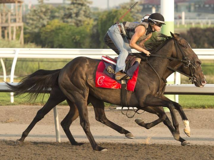 Trainer Mark Casse follows King’s Plate contenders from afar