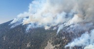 Firefighter dies in the line of duty on Bivens Creek fire in Madison County