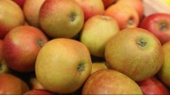 Oregon Heritage Farms closes down after 28 years