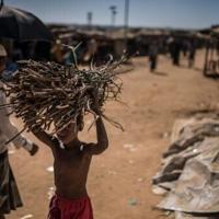 Bleak future for Rohingya, as Bangladesh seeks to tackle crisis