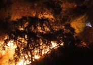 Un incendio forestal en Granada obliga a desplegar un amplio dispositivo para contener las llamas