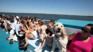 Fire Island guide: Where to go, how to get there and what to know