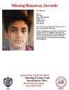 Ian Werlau, 17, missing from Mesa, police say