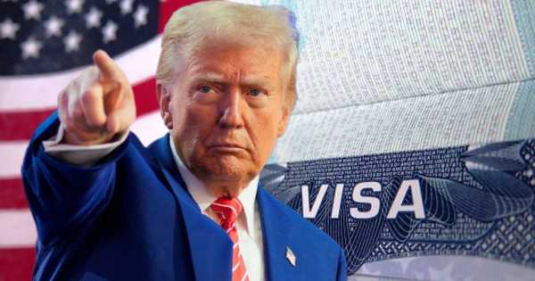 Ni Real ID, ni pasaporte, ni visa: Estados Unidos dejará ingresar legalmente al país a todos los extranjeros que tengan este documento