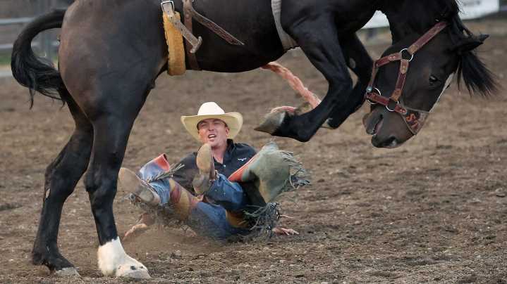 Photos from the 2025 Kitsap Stampede at the county fair