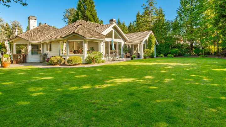 The Overlooked Solution For Better Looking Grass Is So Simple
