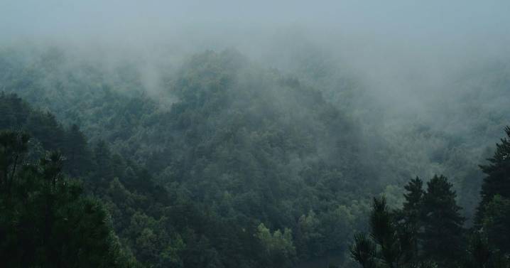 Tips for Using Night Vision and Thermal Optics During Fog and Rain