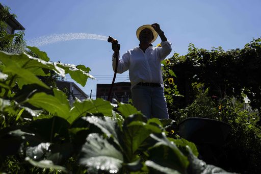 Green spaces are key to combating record heat in marginalized communities
