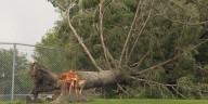 Gov. Pillen issues disaster declaration for 23 counties following August storms