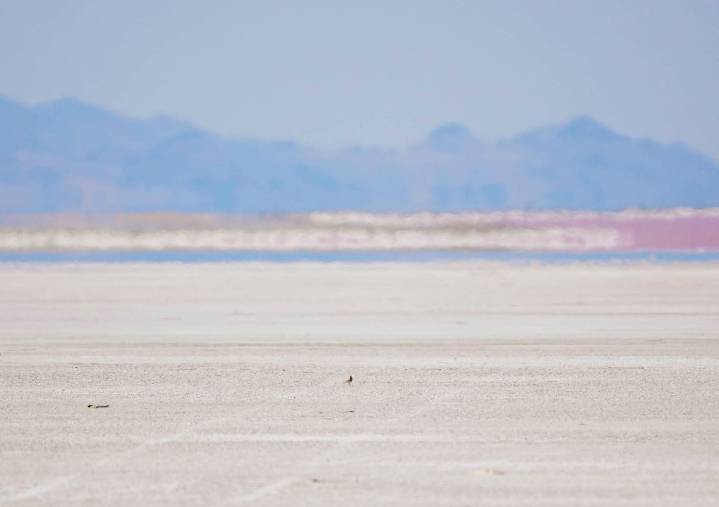 Letter: Call me Nostradamus: Given current realities, here’s what’s bound to happen to the Great Salt Lake and life in Utah