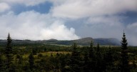 Wildfire in Nova Scotia grows; cooler temperatures help firefighters in N.L.
