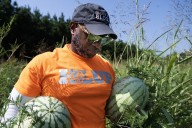 Perryville’s Heifer Ranch picks up annual Watermelon Crawl to fight food insecurity