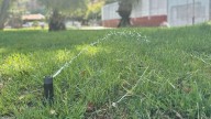 Un nuevo sistema de riego en Murcia ahorra hasta un 40% de agua