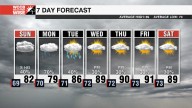 Rain returns before summer rushes back into the forecast 