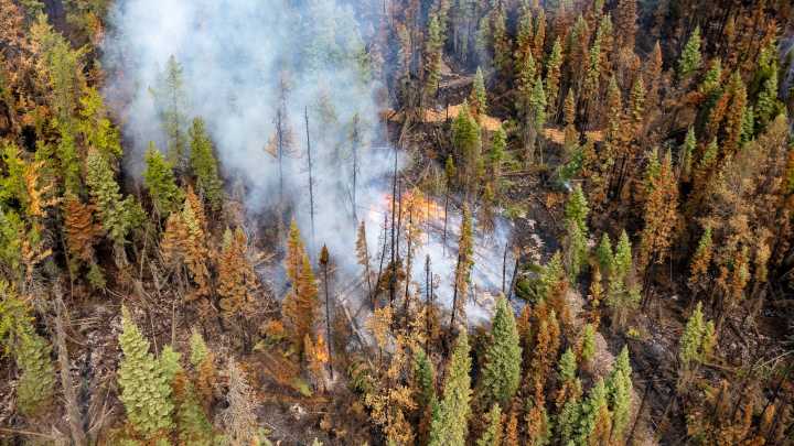 Michigan's air quality for Aug. 6: Fewer advisories as Canadian smoke clears