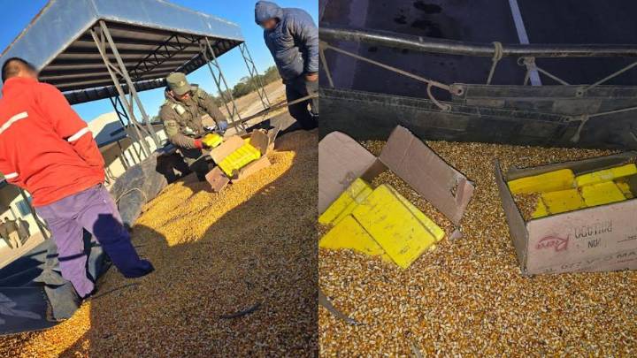 Un conductor fue detenido con 44 kilos de cocaína ocultos entre granos de maíz en un camión