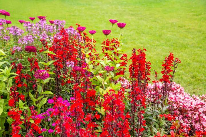 How to Mix Flower Colors for a Gorgeous Garden Every Time, According to Designers
