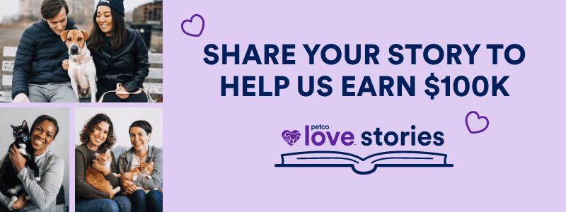 Share your love story of your adopted pet: Help give Miami-Dade County Animal Services a chance to win a lifesaving investment from Petco Love!