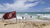 Huracán "Erin" se intensifica y alcanza la categoría 4; islas del mar Caribe serán azotadas por fuertes lluvias