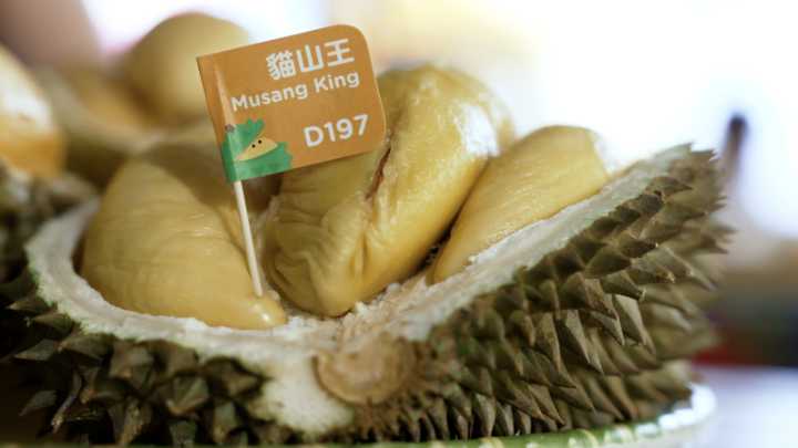 Durian musicals to a theme park: How this company is innovating with the world’s most divisive fruit