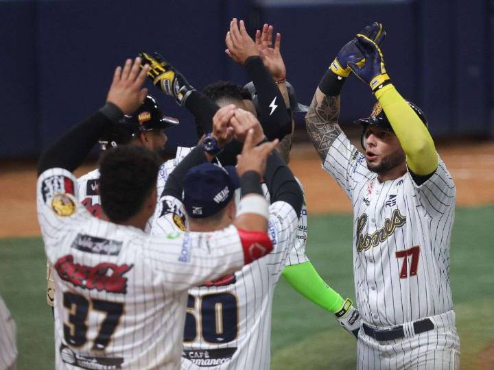 Juan Cristóbal Coronil es el nuevo gerente general de Leones