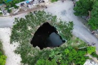 ¿El fin de los tiempos? La profecía maya que revivió tras la caída de una ceiba sagrada en Yucatán