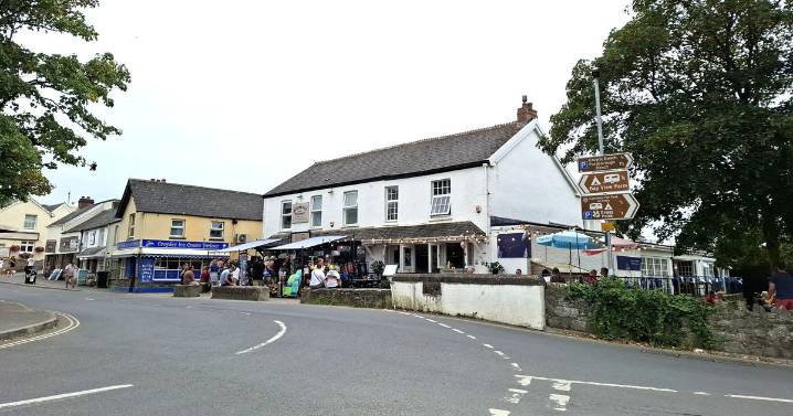 'Paradise' Devon village attracts people who 'leave their brains at home'
