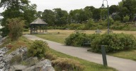 Belfast wheelchair swing effort