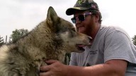 Wolfdogs are helping war veterans with their PTSD