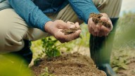 The Gardening DIY You Need To Test Your Soil's pH Levels