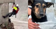 Captan heroico rescate de un perrito atrapado en un río en Nuevo León