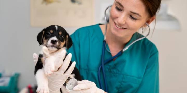 Día del Veterinario en Argentina: su rol clave en salud pública, conservación y bienestar animal