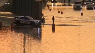 Parents and child killed when tree falls on car as heavy rain and flooding hit Tennessee