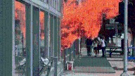 Dog alerts salon owner to neighboring Portland store's fire