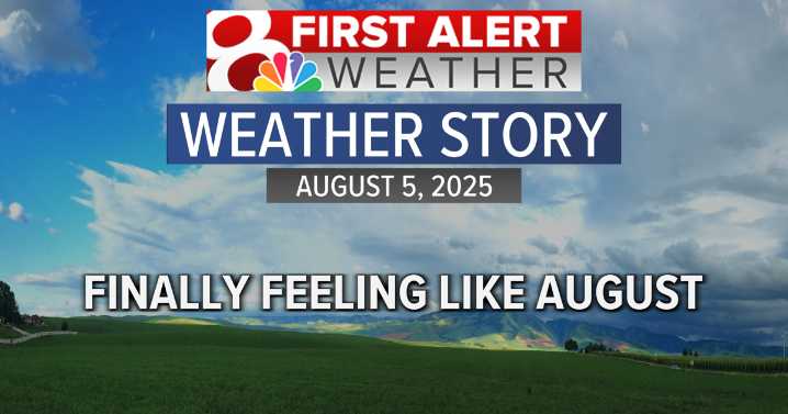 Forecast: August weather in full swing