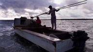 Apalachicola Bay oysters can be harvested again, Florida officials say