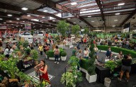 Maricopa County Home and Garden Show returns to WestWorld of Scottsdale