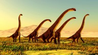 New 3D Reconstructions Show Massive Sauropods Didn’t Drag Their Tails, But Held Them High