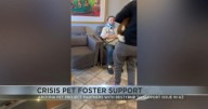 Arizona Pet Project aids pet owners in crisis