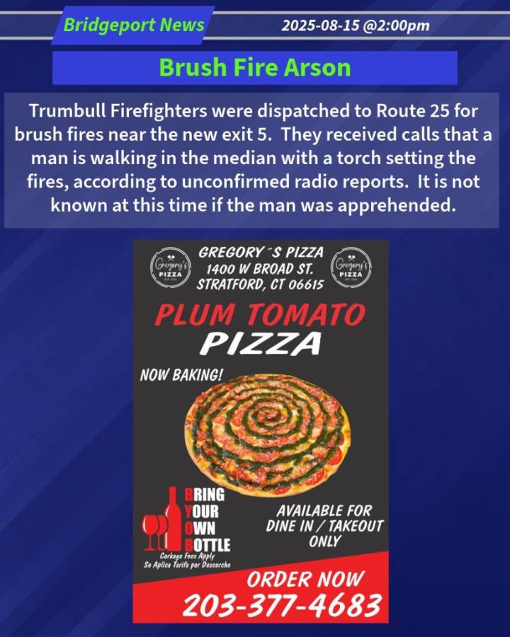 Brush Fire Arson