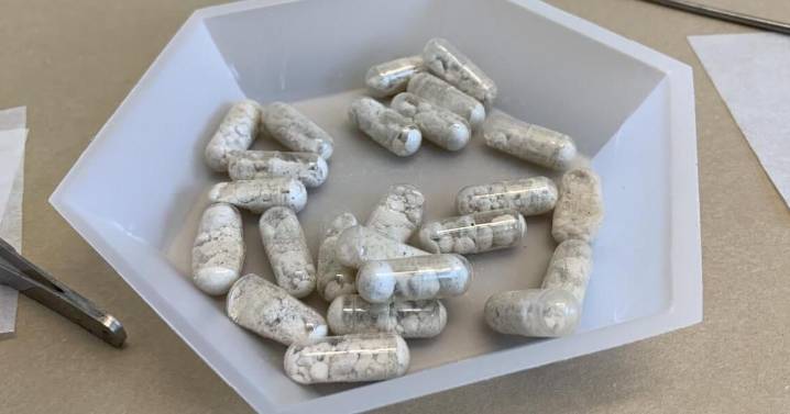 Opioid overdose deaths have fallen in recent years, but will that last?