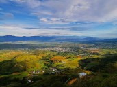 Por vía judicial niegan explotación forestal en Garzón