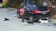 Video: Cámaras de seguridad captan robo de camioneta en Salinas Victoria