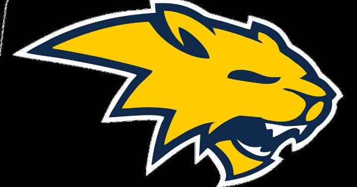 Neuqua Valley’s defense stands tall late, secures 10th straight win over Waubonsie Valley