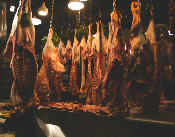 Estos municipios lideran la producción ganadera de carne en SLP (p.2)